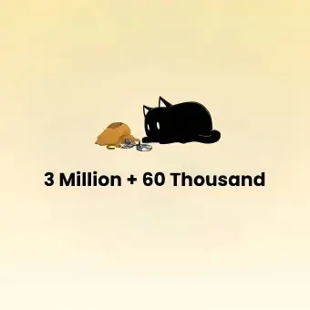 3 Milion + 60 Thousand Zeny