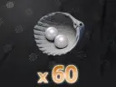 60 Echo Beads