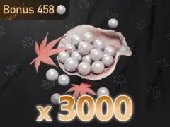 3000 Echo Beads