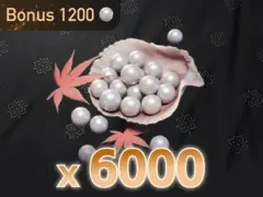 6000 Echo Beads