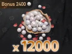 12000 Echo Beads