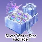 Silver Winter Star Package I