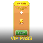 VIP Pass