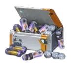 Sage's EXP Support
