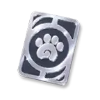 Advanced Companion Handbook